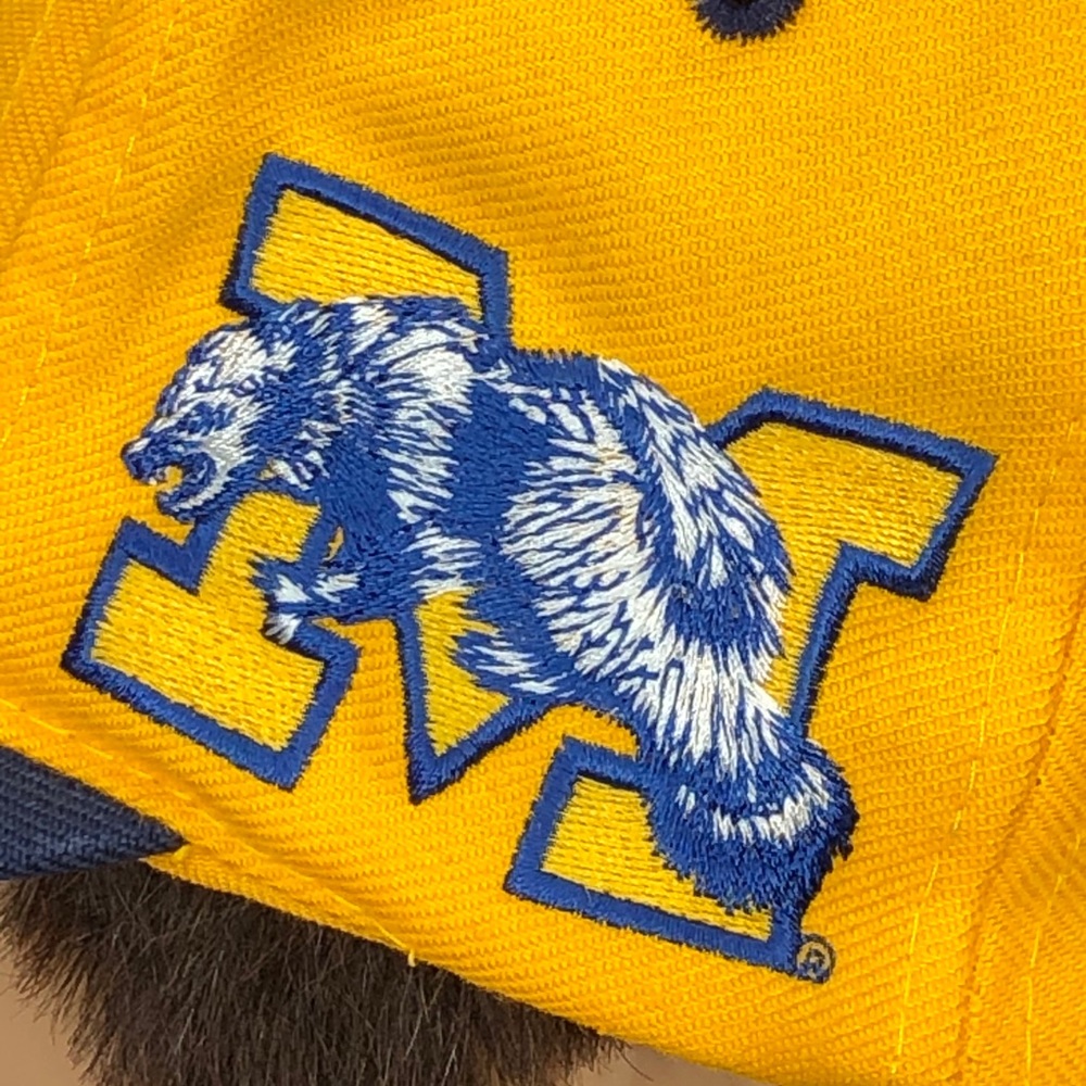 Vintage Unique Michigan Wolverines 90’s SnapBack Top of The World Tag - Picture 8 of 12